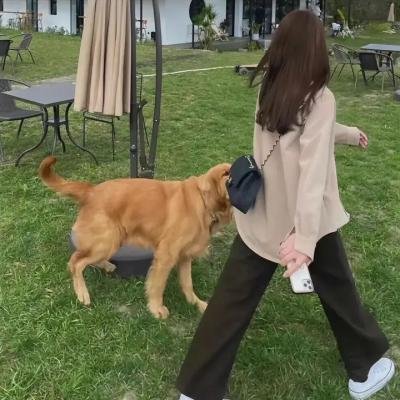 风吹吧麦浪